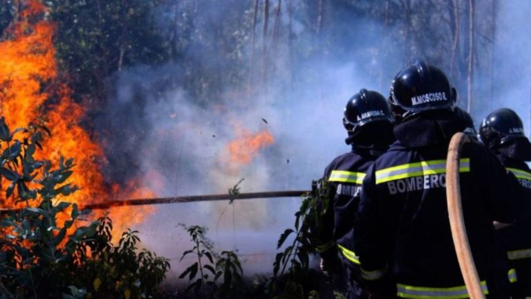 Incendio Forestal