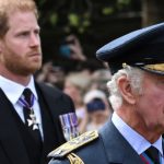 Rey Carlos Y Príncipe Harry Relación