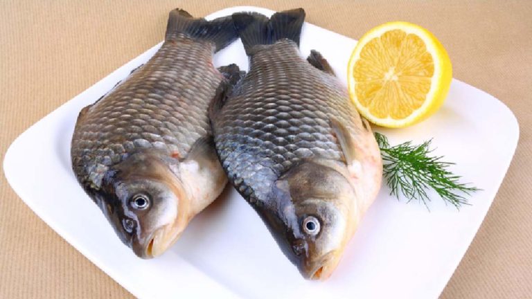 Pescado En Semana Santa