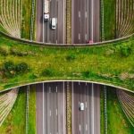 Cumbre Internacional De Sostenibilidad E Innovación Digital