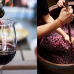 Día Del Vino En Chile