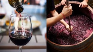 Día Del Vino En Chile