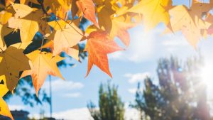Pronóstico Del Tiempo En Santiago