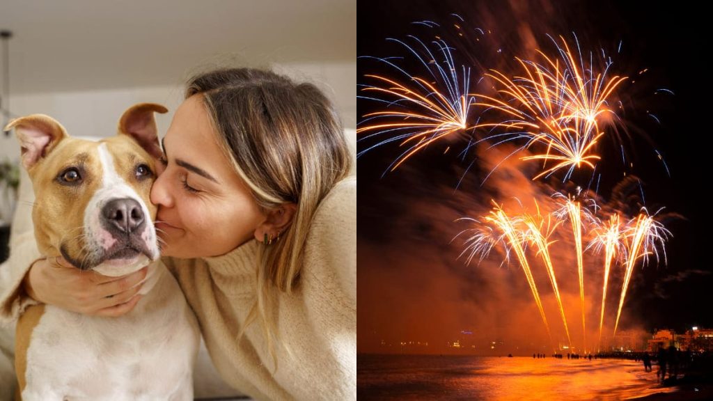 Año Nuevo Y Shows De Fuegos Artificiales