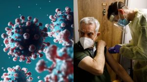 Pirola La Nueva Variante De Covid 19