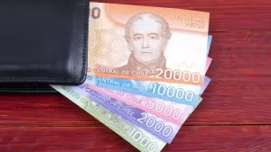 Autopréstamo De Fondos De AFP_ ¿Puedo Solicitarlo Si Recibo La PGU_