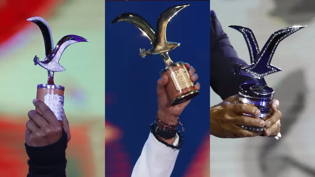 Festival De Viña 2024_ Estas Son Las Diferencias Entre Las Gaviotas De Plata, Oro Y Platino