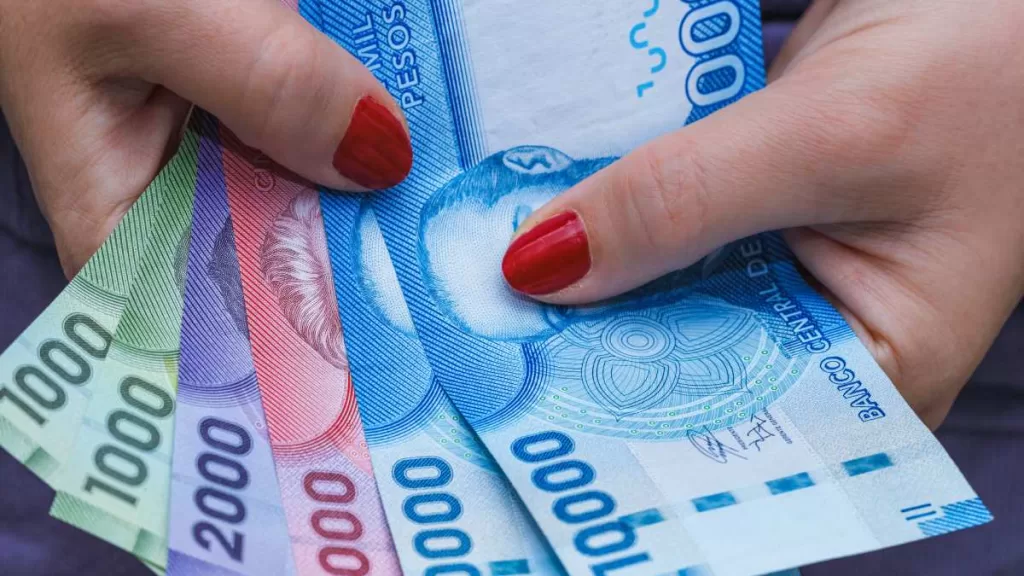 Bono De Protección 2024 Cuáles Son Las Modalidades De Pago