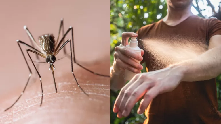 Dengue En Chile