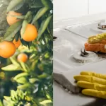 La Naranja Estos Son Los Componentes Que Lo Hacen Un Gran Aliado Para Combatir La Suciedad Y Los Malos Olores