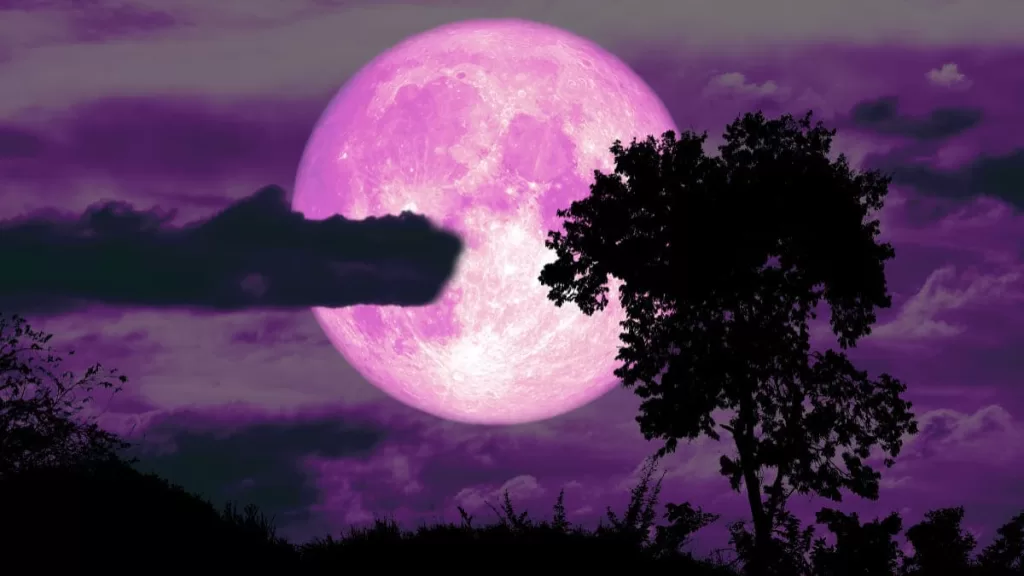 Luna De Fresa 2024 En Chile