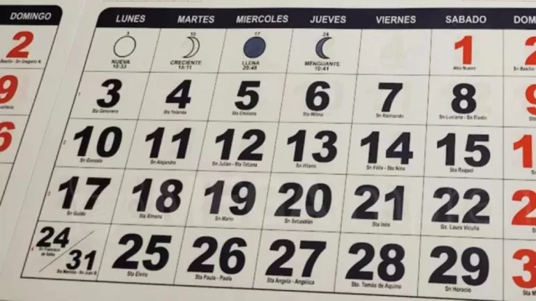 Vacaciones De Invierno