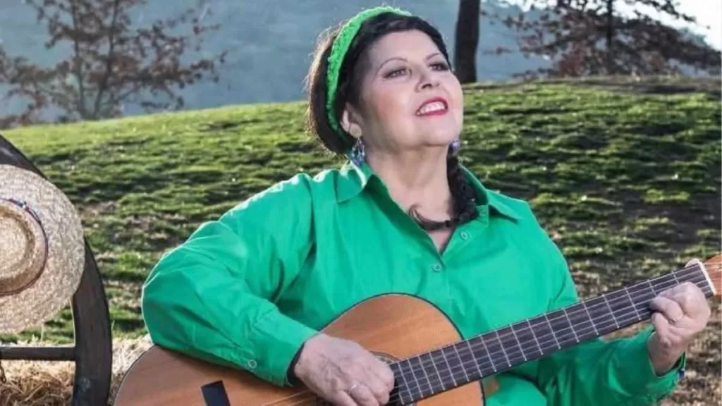 Cantante Festival De Viña