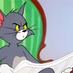 Dia Mundial Del Gato