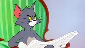 Dia Mundial Del Gato