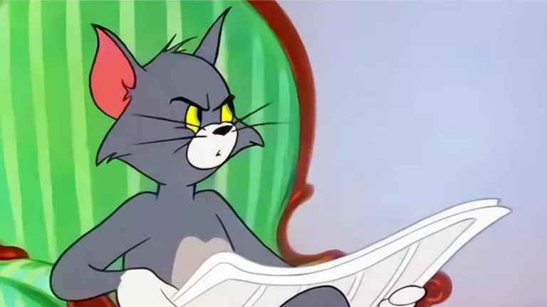 Dia Mundial Del Gato