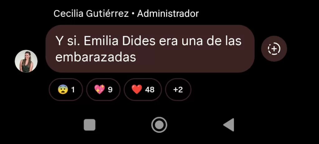Emilia Dides Embarazo
