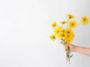 Flores Amarillas El 21 De Septiembre 2