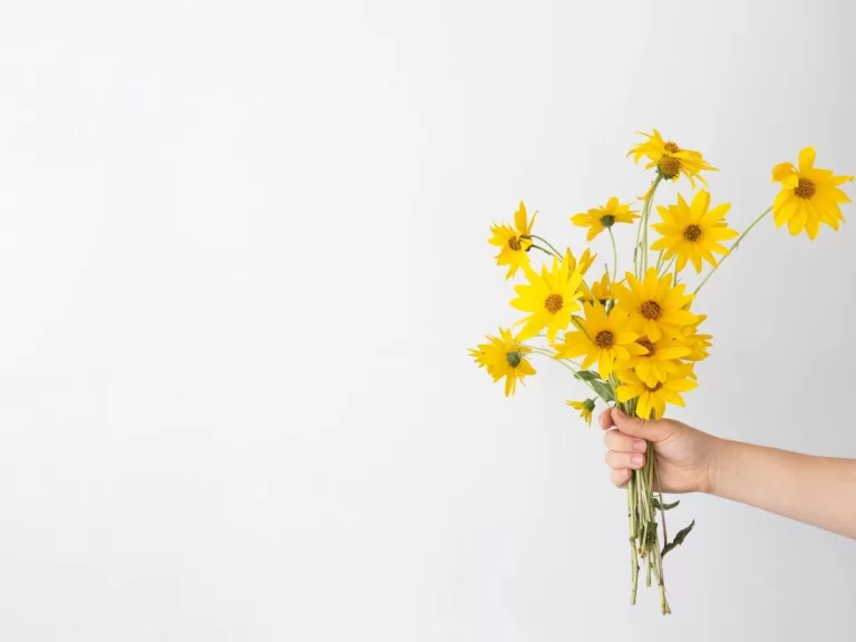 Flores Amarillas El 21 De Septiembre 2