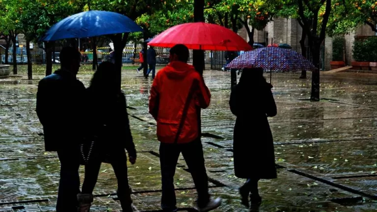 Lluvia En Santiago (9)