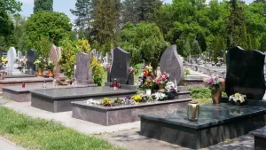 Cementerio Halloween