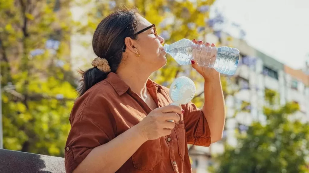 Lluvia Calor Region Metropolitana