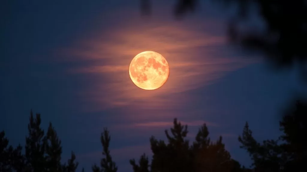 Luna Llena Del Cazador Chile