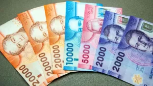 Bono Por Años Cotizados