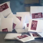 Elecciones Presidenciales (2)