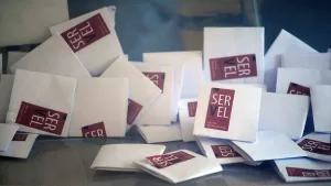 Elecciones Presidenciales (2)