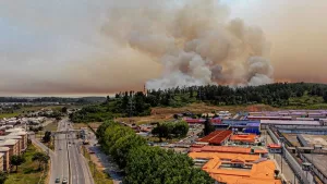 Incendio Forestal