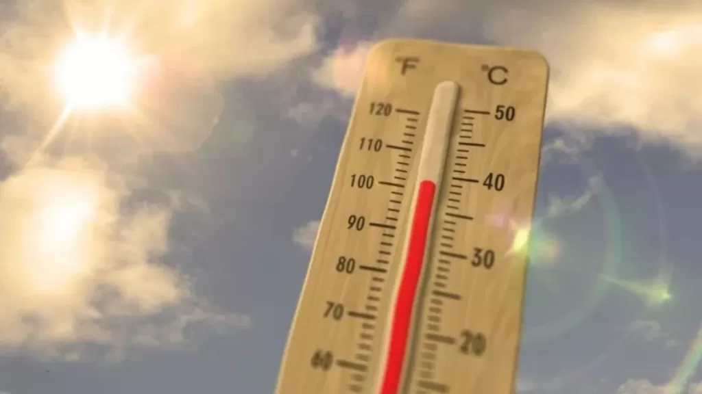 Medicamentos Ola De Calor