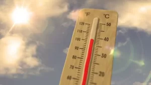 Medicamentos Ola De Calor