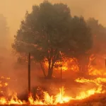 Reporte Incendio Forestal