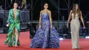 Festival De Viña 222