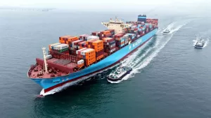 Exportación Chilena