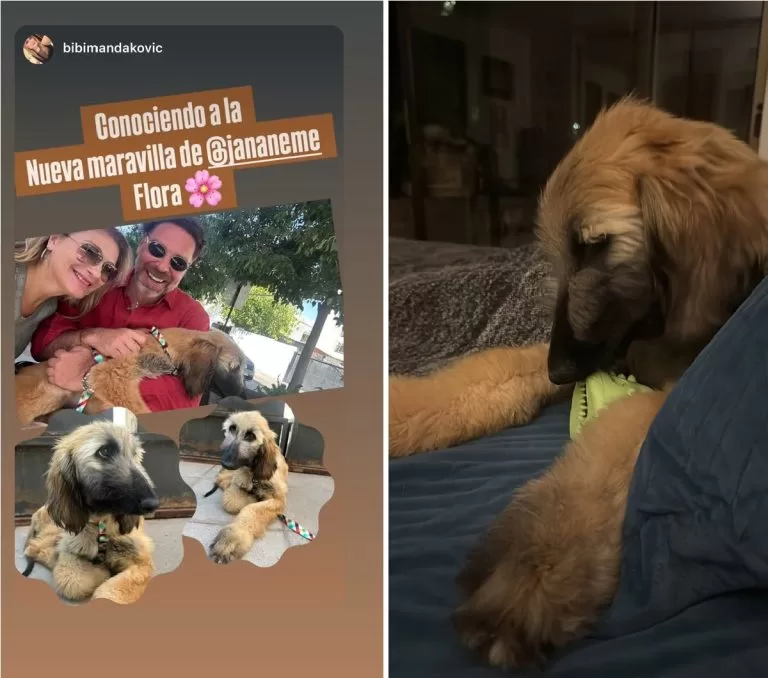 Flora Nueva Integrante Familia Neme 768x678 (1)