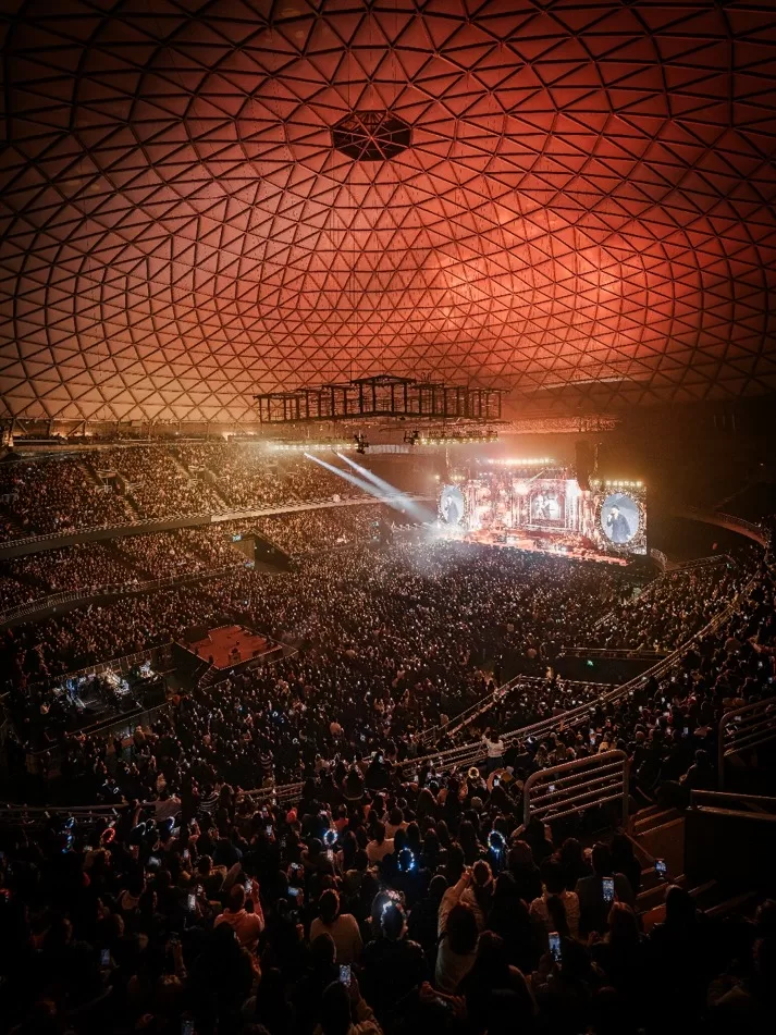 Concierto Arjona