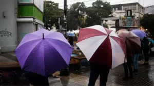 Lluvia (4)