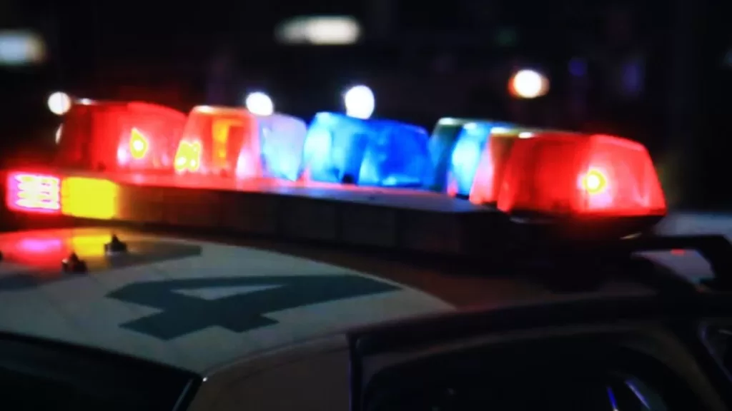Policial Artista
