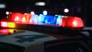 Policial Artista