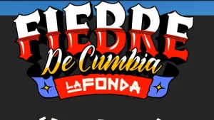 Web Pudahuel (85)