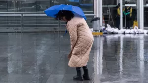 Lluvia (2)