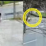 Muere Paz Ramirez