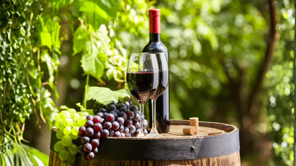 Vino