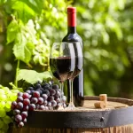 Vino