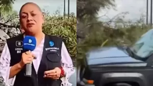 periodista atropello