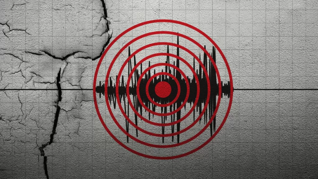 Tsunami Sismo Terremoto (3)